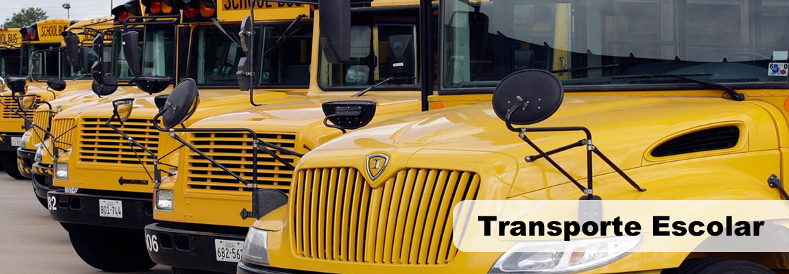 SERVICIO DE TRANSPORTE ESCOLAR